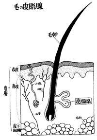玉B̊Ŏ}сAԖт